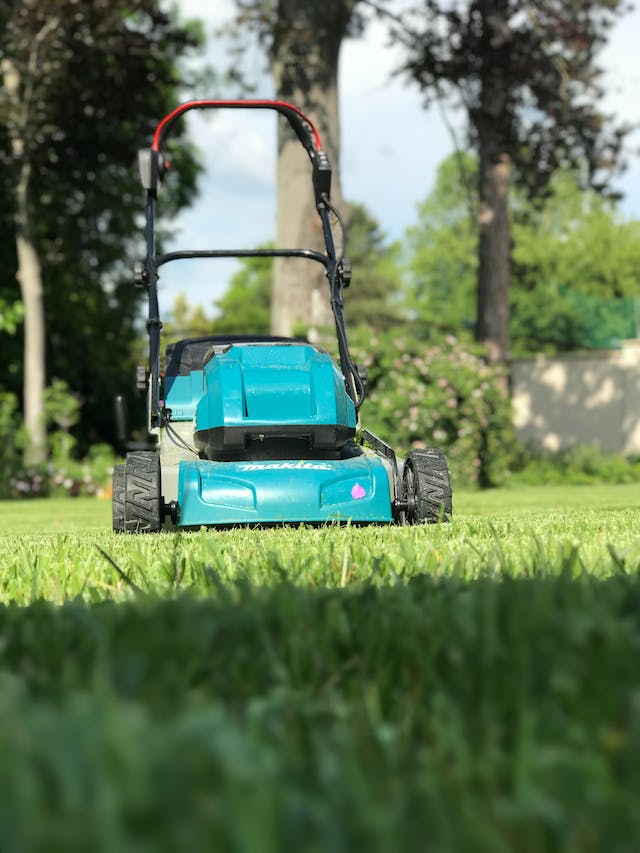 grasmaaier