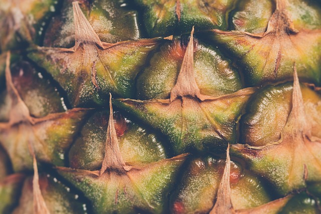 De wonderlijke wereld van de ananasplant: groei en verzorging